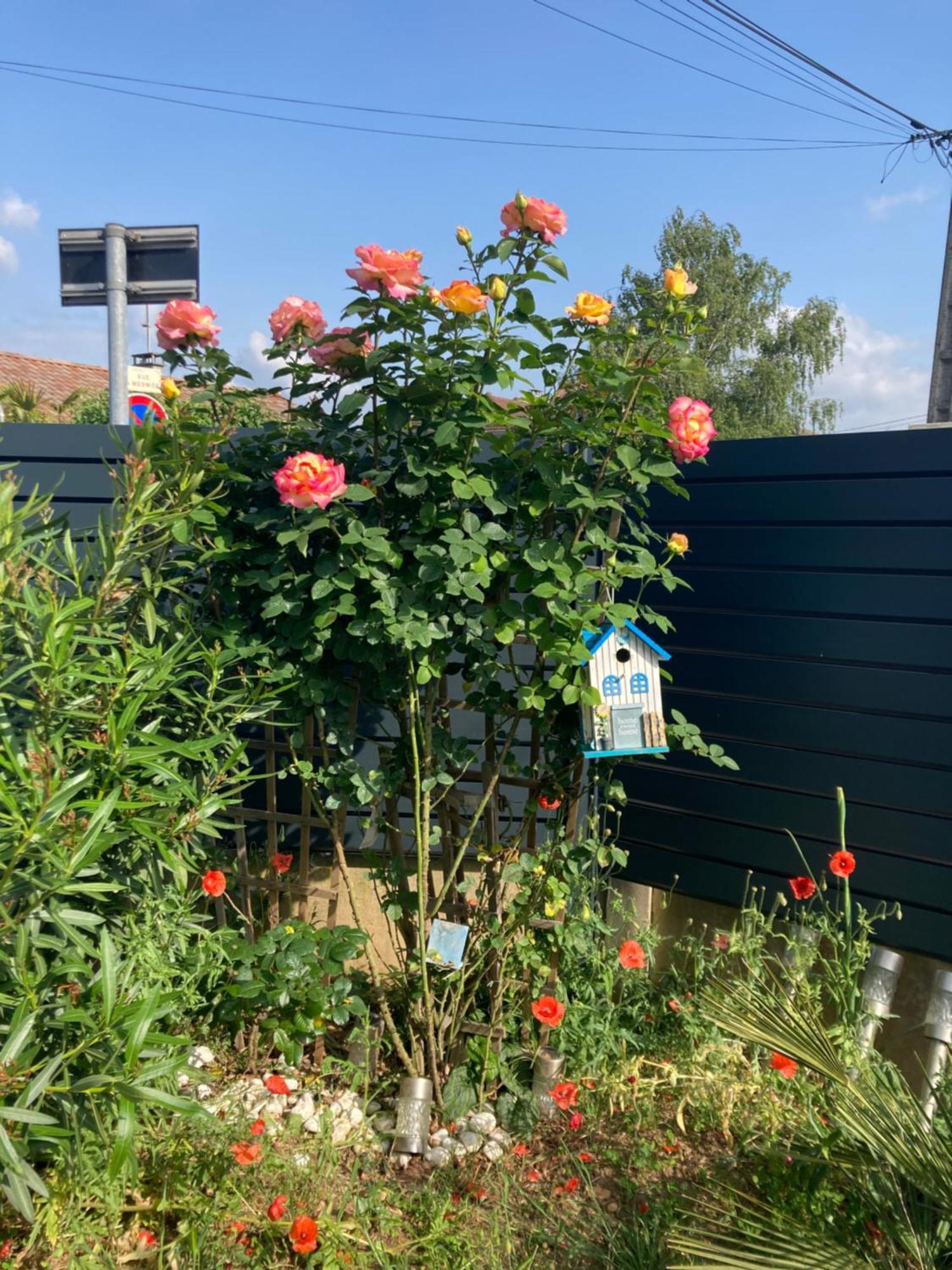 Au Calme Dans Maison En Rez De Jardin A 2,2 Kms Du Groupama Stadium Et Salle Ldlc Arena Meyzieu Exterior foto