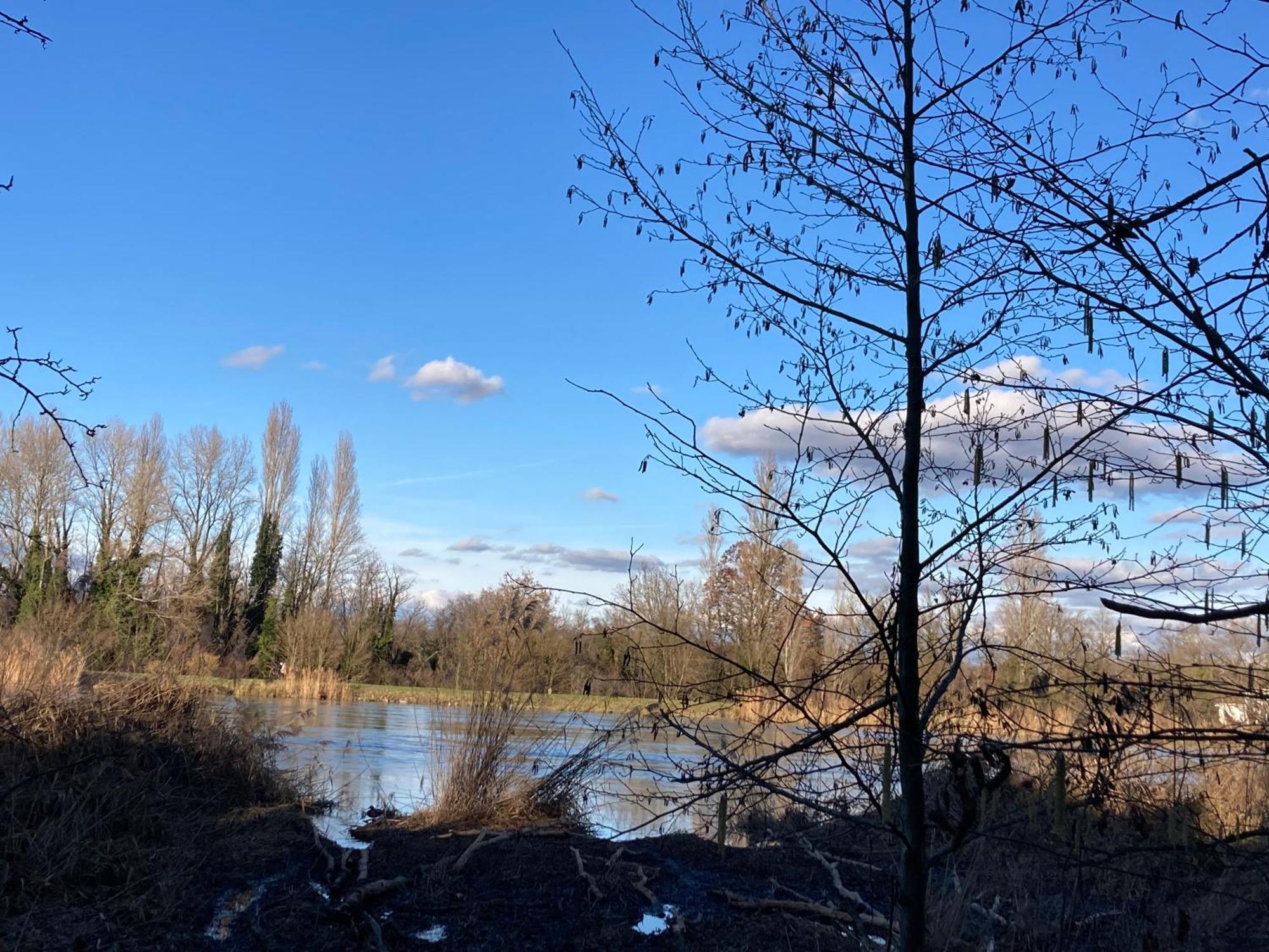 Au Calme Dans Maison En Rez De Jardin A 2,2 Kms Du Groupama Stadium Et Salle Ldlc Arena Meyzieu Exterior foto